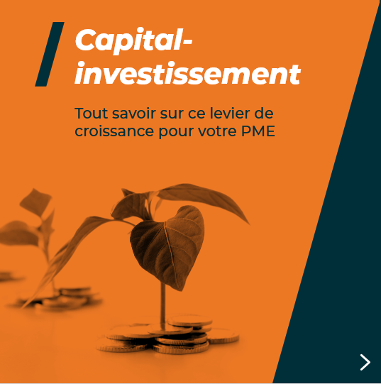Capital-investissement